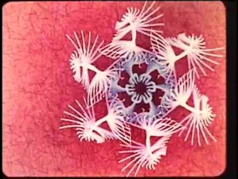 TM Juke - Remember 99 (Music Video)