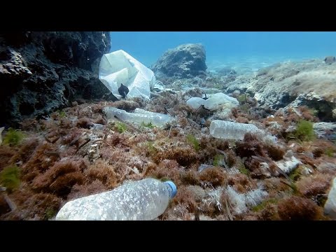 Jagd auf Mikroplastik: Französische Wissenschaftler schlagen Alarm wegen Plastikverschmutzung