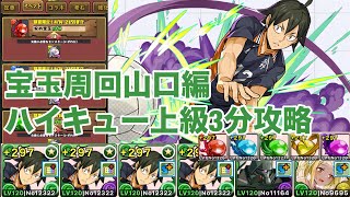 【宝玉周回】900億⁉ハイキュー上級は山口でも快適に周れます！期間限定だ！宝玉難民急いで周れ！！【パズドラ】【ハイキュー】【山口】