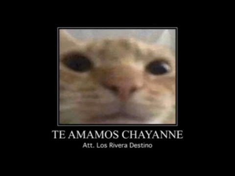 Chayanne Forever - Los rivera destino