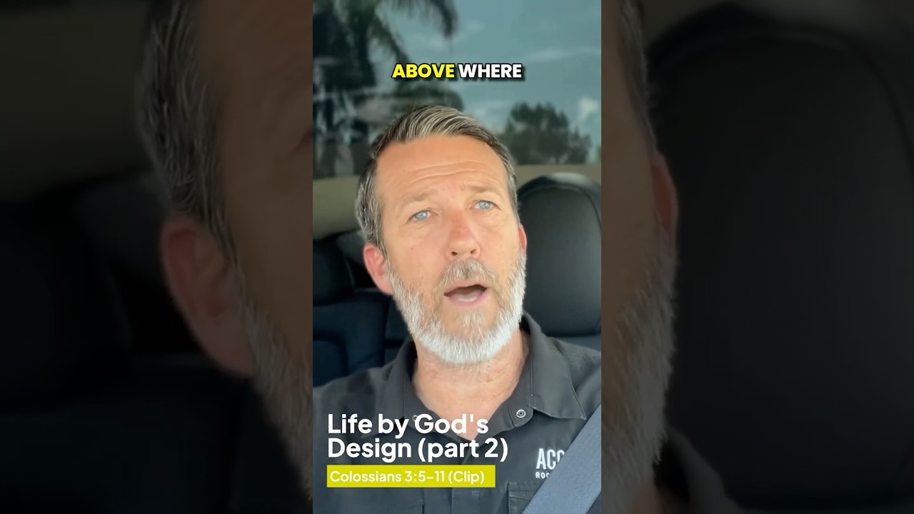 Embracing Your New Life in Christ