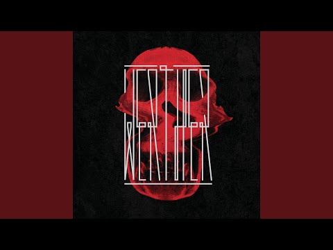 Un joven una cuerda un nudo y un árbol