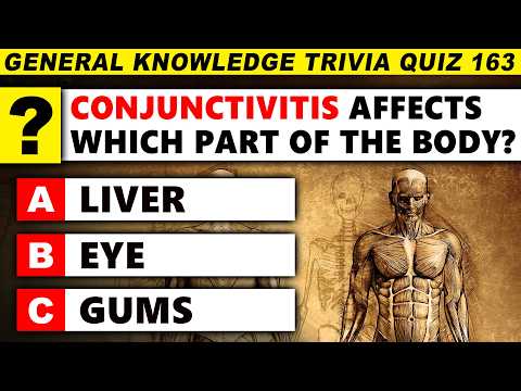 Time For Another Round Of The Ultimate Trivia Quiz! (Round 163)