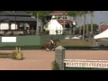 Video Of LEDGER Riden By GILLIAN GRANT From ShowNet