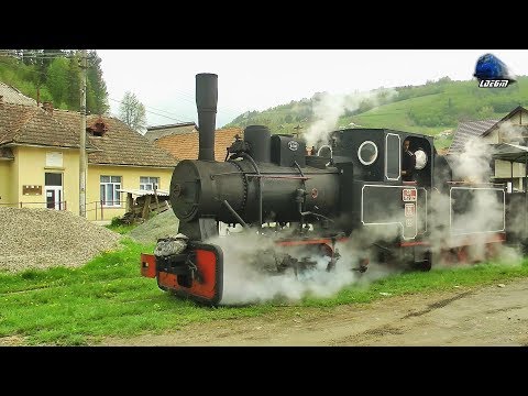 102 Years Old Steam Loco Mocănița 762.209 CFI Dampflok in Câmpeni - 01 May 2019