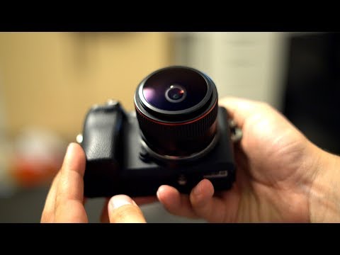 Video thumbnail for Video Review 1