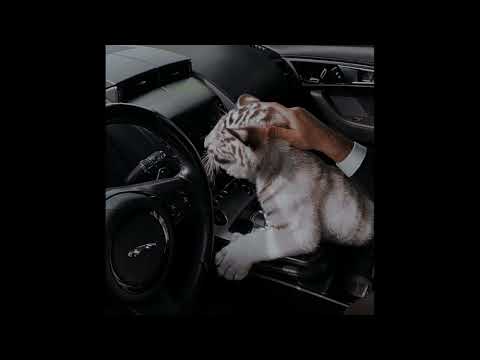 (FREE) Tz da Coronel x Filipe Ret x Caio Luccas Type Beat ~ Selva