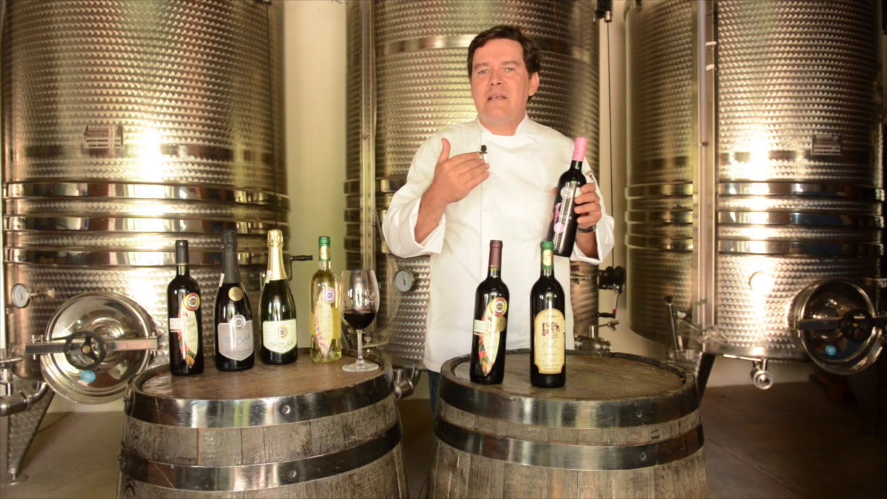 Conoce las diferencias entre el vino Dulce, Semi y Seco hechos con deliciosa uva Salvador