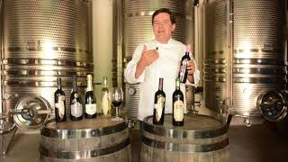 Conoce las diferencias entre el vino Dulce, Semi y Seco hechos con deliciosa uva Salvador