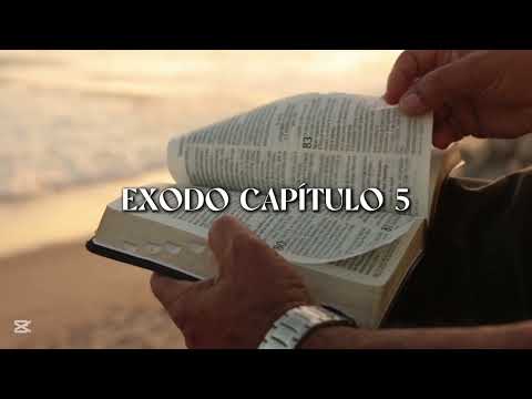 Éxodo Capitulo 5 |Audiolibro| RV60