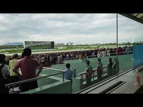 2022年6月26日宝塚記念。タイトルホルダー　レコードタイムで圧勝。馬券も単複、3連複当たりました。