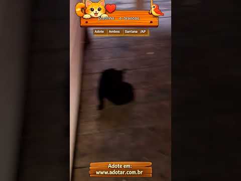 Vídeo de pretinha e brancos