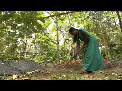 Al Jazeera Svijet 03.05.2015. - Nedjelja 21:30