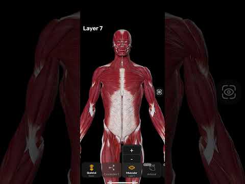 Easy Anatomy 3D