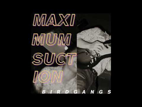 Thumbnail for Birdgangs - "Don't Open the Door" by Maxim, Youth, Y&T