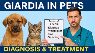 How to Treat Giardia in Dogs & Cats (And Stop Reinfection)🦠
