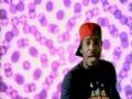 The Pharcyde - Ya Mama 
