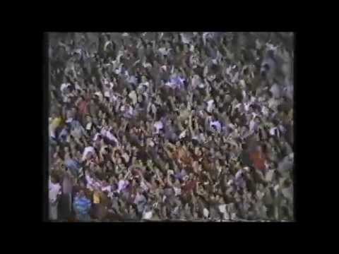 "Hinchada Sabalera / Nacional B 1994/95" Barra: Los de Siempre • Club: Colón