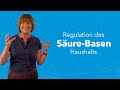 Regulation Of The Acid Base Balance Respiratory Metabolic Regulation Sabine Steinbruch