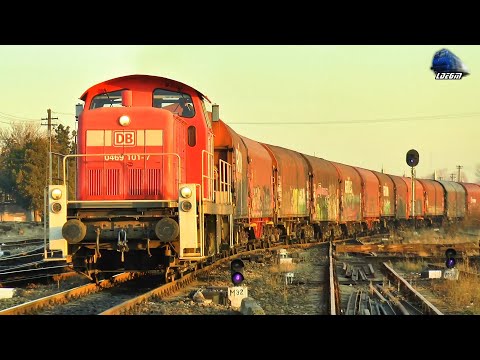 Trenuri de Marfă pe Seară/Freight Trains on Evening in Episcopia Bihor & Oradea - 25 November 2021