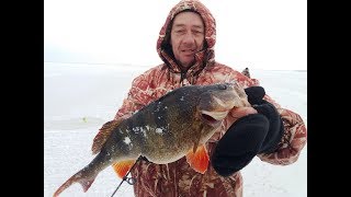 Рыбалка зимой на крупного окуня