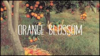 ORANGE BLOSSOM || Princess Nokia (Lyrics)