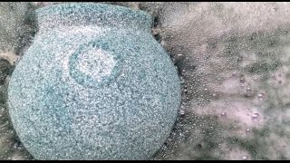 Clairvoyance - Firme Arte | Screaming Trees Inspired | ohpleasesharon