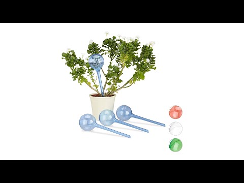 24x Waterdruppelaar rood rood