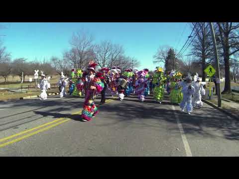 WOODLAND STRING BAND - IF MY FRIENDS COULD SEE ME NOW