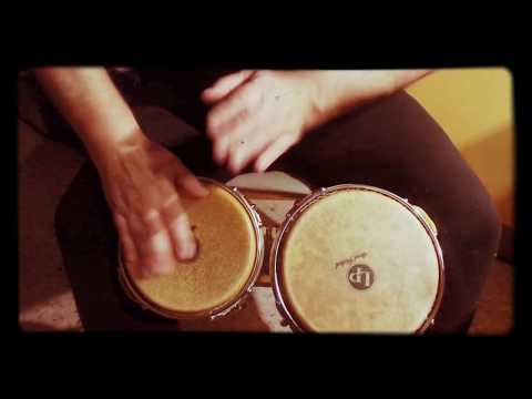 Bongos FREEJAC – We Were Rock and Roll by janelle Monae