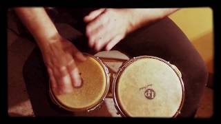 Bongos FREEJAC – We Were Rock and Roll by janelle Monae