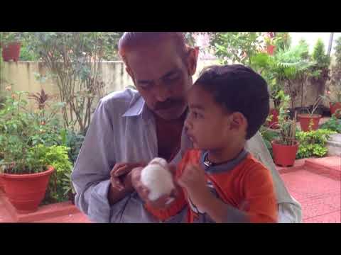 RANADHEER 6 th BIRTHDAY