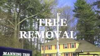 preview picture of video 'Tree Removal in Acton, MA Bucket Truck'