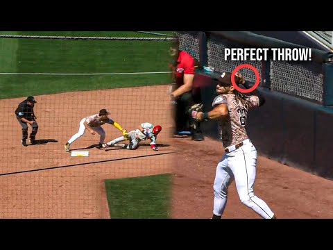 MLB | Amazing Outfielder Plays | 2024