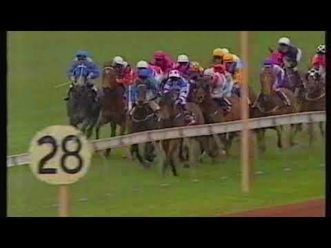 1993 VRC Nissan Stakes