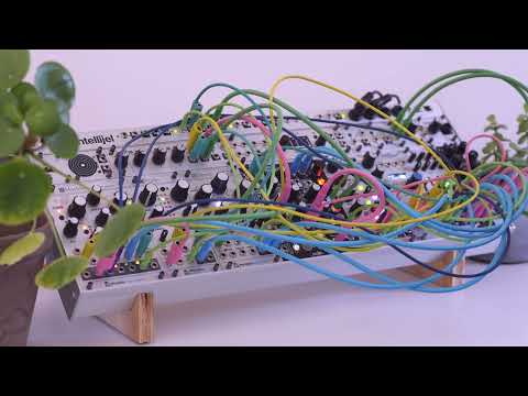 Intellijel - 4U 104HP Palette Case Stealth [USED] image 7