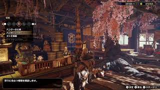 【MHRise】大型拡張に間に合わせたいモンスターハンターライズ
