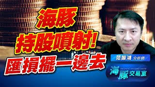 匯損影響開始浮現! 海豚是這樣解讀的! 不要害怕 (圖)