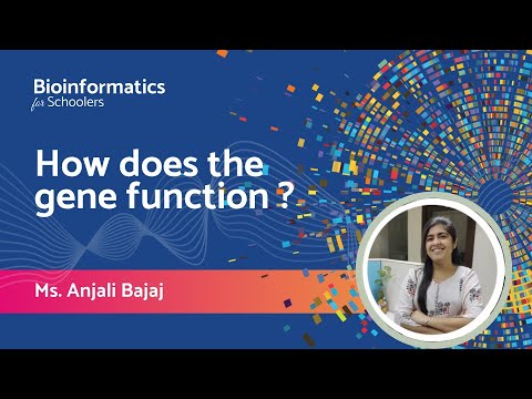 How does the gene function ? | Ms Anjali Bajaj