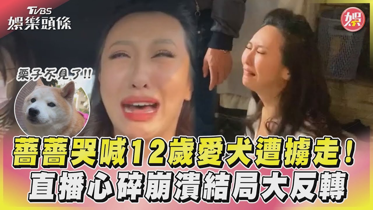 影音/薔薔哭喊12歲愛犬遭擄走! 直播心碎崩潰結局大反轉