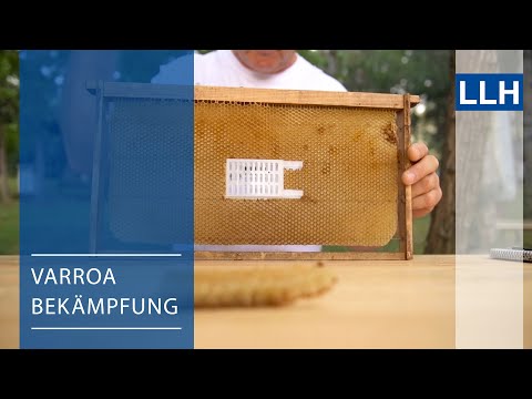 Alternatives for Varroa control - Artificial brood interruption (Uzunov & Büchler, 2020)