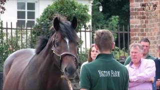 Yorton Breeders Club Launch - with Alan King - 9th September 2016