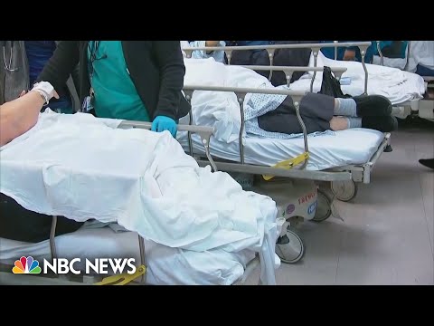 Leprosy cases on the rise in Florida