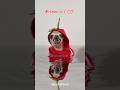MORANGO DO AMOR COM PINSCHER Petsfofinhos Pets Humor Meme