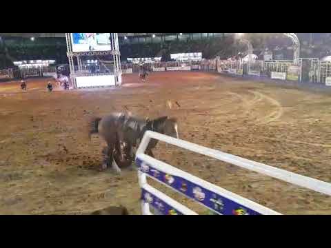 Paixão Caipira da Cia. Tito Caroso na Final da Copa Panther Rozeta Cutiano 2018