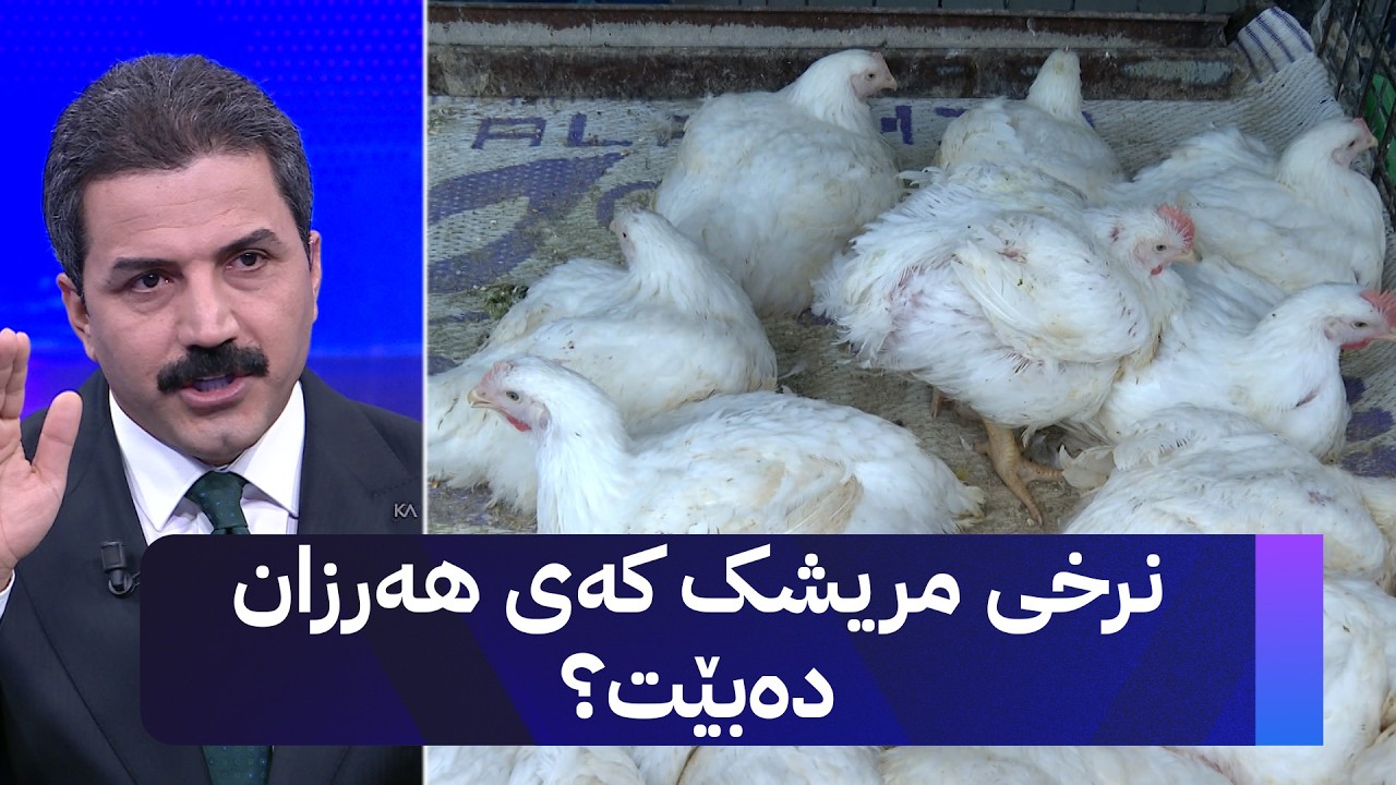ڤیدیۆ | نرخی مریشک کەی هەرزان دەبێت؟