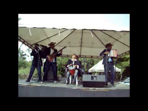 EL FANDANGO VALLENATO (MATA DE CAÑA)