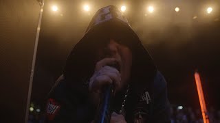 Animal Music Video