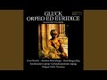 Orfeo ed Euridice: Act II Scene 1: Deh placatevi con ...