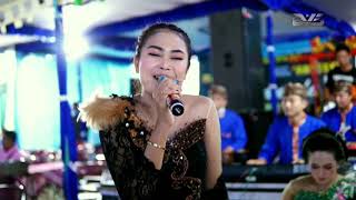 Download lagu Kutimang Adikku Sayang // Voc.Veronika ★ Supra Nada Campursari ★ BAP Audio ★ DVS MEDIATAMA ★ mp3